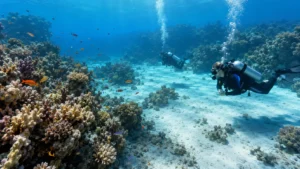 Scuba divers exploring coral blocks and a sandy plateau at Abu Ramada