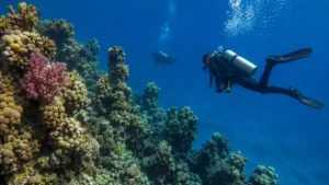 Scuba divers exploring coral pinnacles at an offshore Red Sea reef near Hurghada