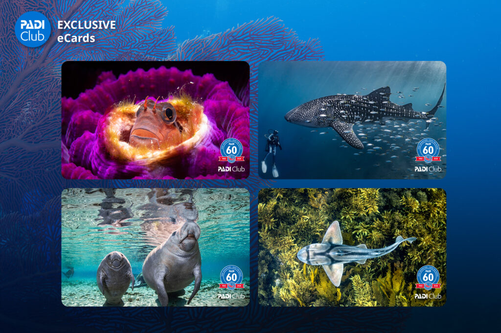 PADI scuba diving courses and certification in Hurghada